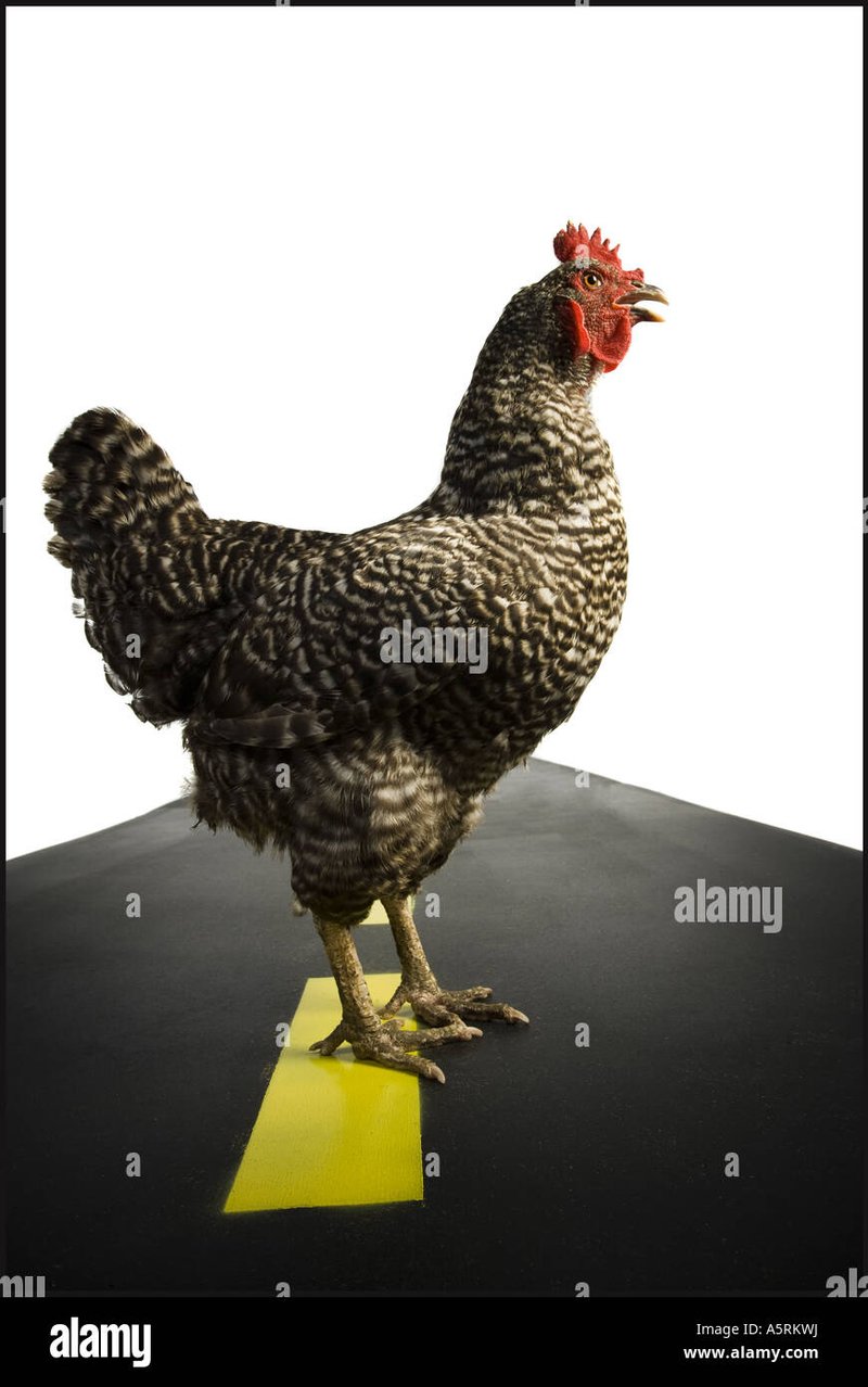 Prezentare generală chicken road joc